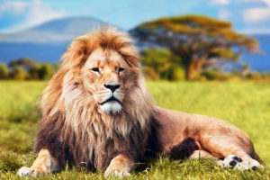 Ciekawe fakty o lwowie